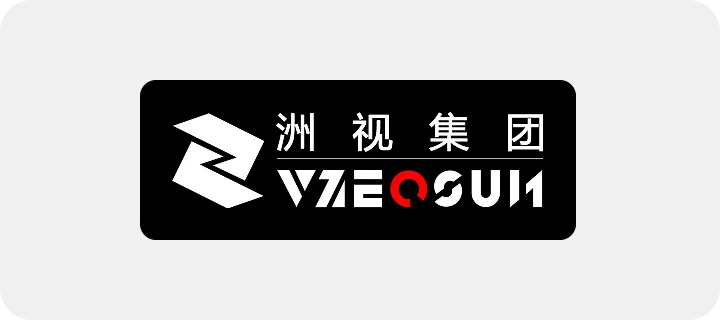 洲视集团